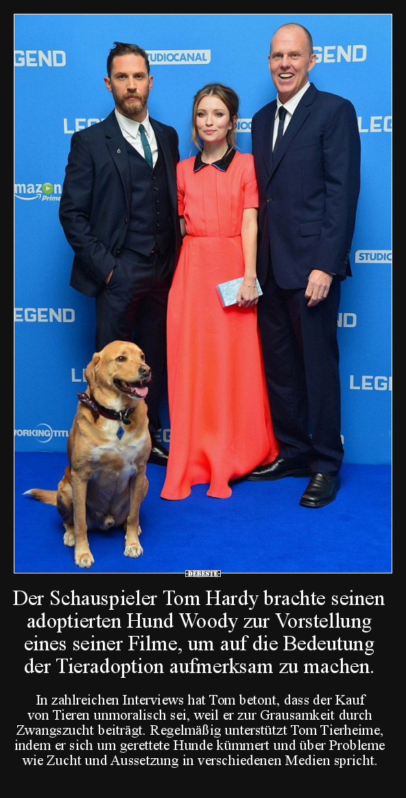 Der Schauspieler Tom Hardy brachte seinen adoptierten Hund.. - Lustige Bilder | DEBESTE.de