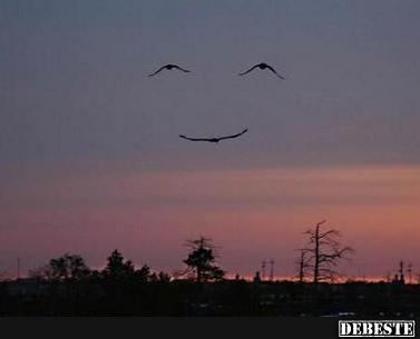 Die Smile-Formation - Lustige Bilder | DEBESTE.de