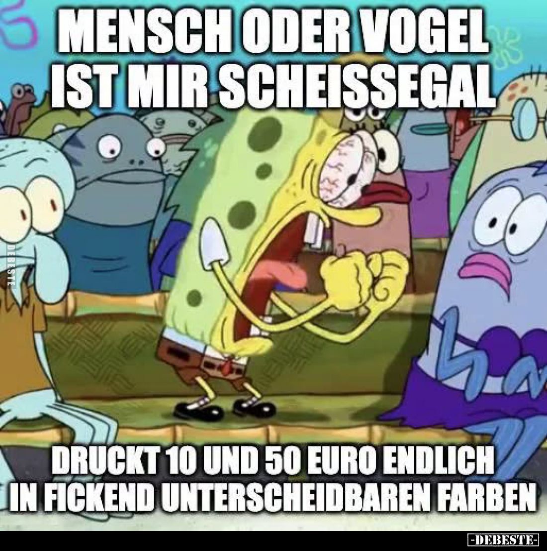 Mensch oder Vogel ist mir scheissegal.
Druckt 10 und 50 Euro endlich in fickend unterscheidbaren Farben.