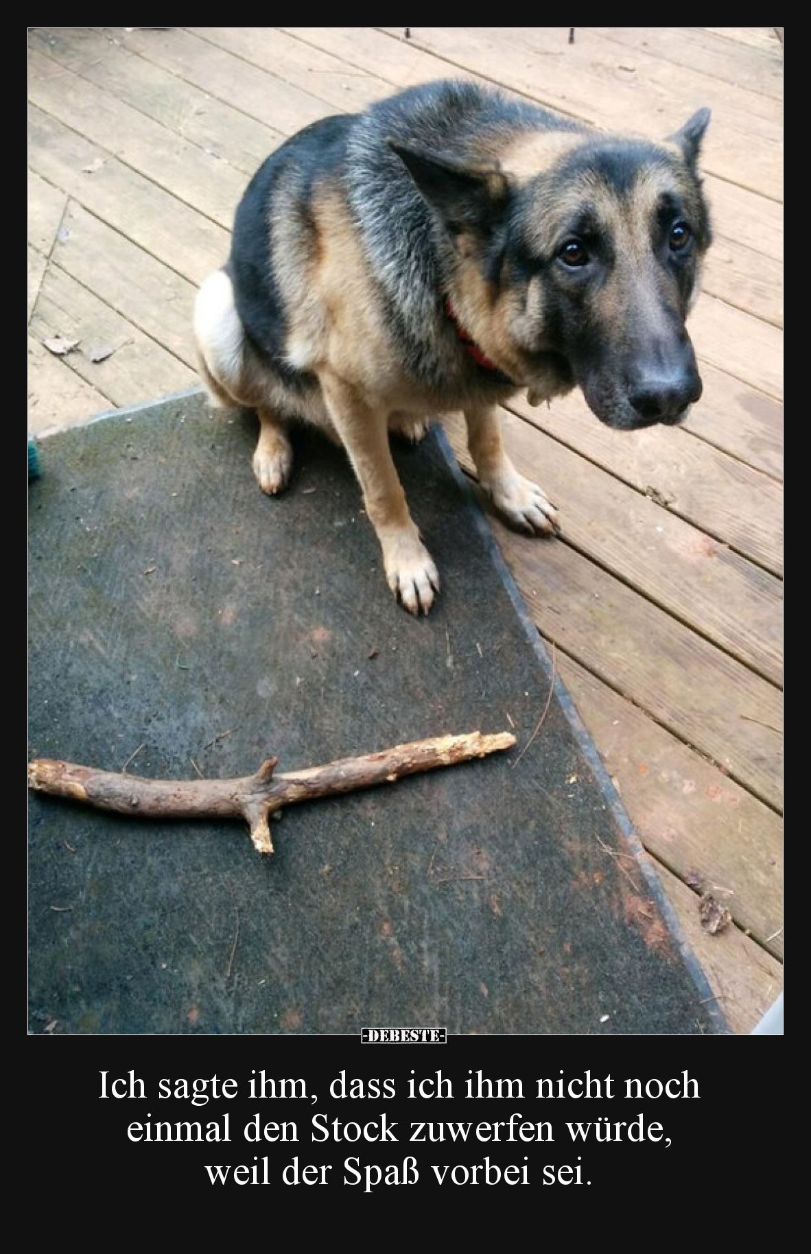 Ich sagte ihm, dass ich ihm nicht noch einmal den Stock zuwerfen würde, weil der Spaß vorbei sei.