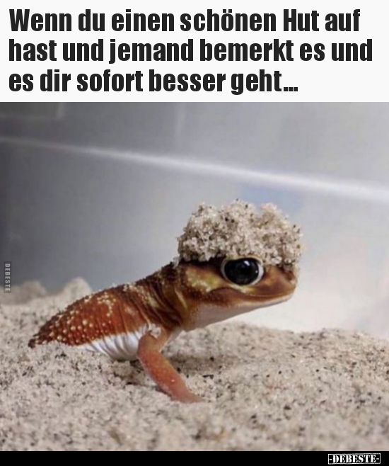 Wenn du einen schönen Hut auf hast und jemand bemerkt es.. - Lustige Bilder | DEBESTE.de