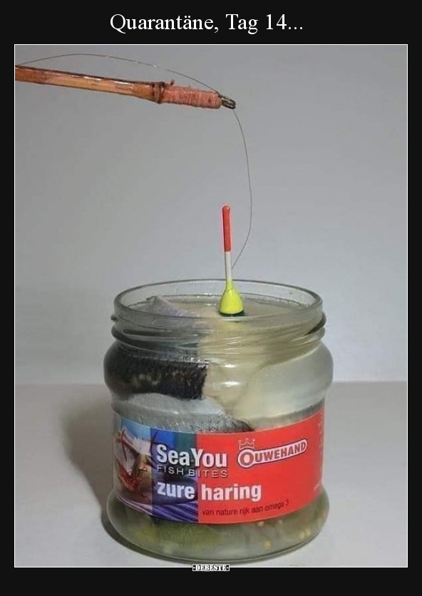 Quarantäne, Tag 14...