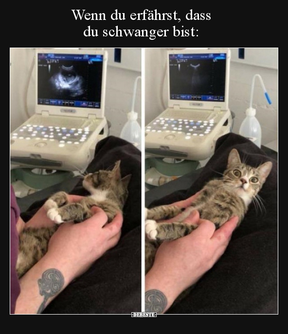 Wenn du erfährst, dass du schwanger bist..