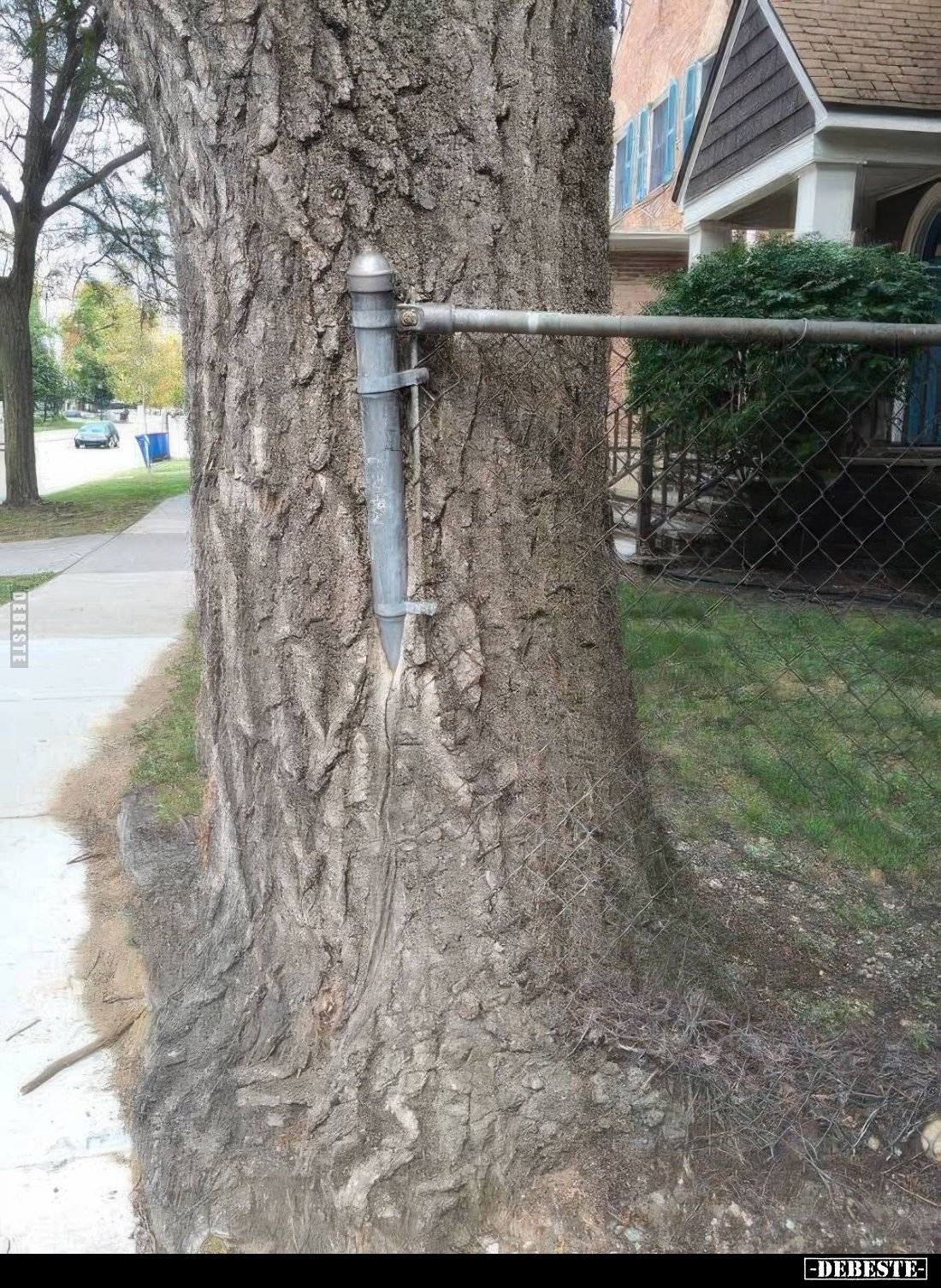  - Lustige Bilder | DEBESTE.de