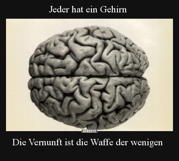 Jeder hat ein Gehirn.. - Lustige Bilder | DEBESTE.de