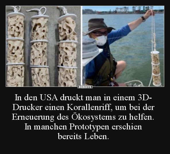 In den USA druckt man in einem 3D-Drucker einen..