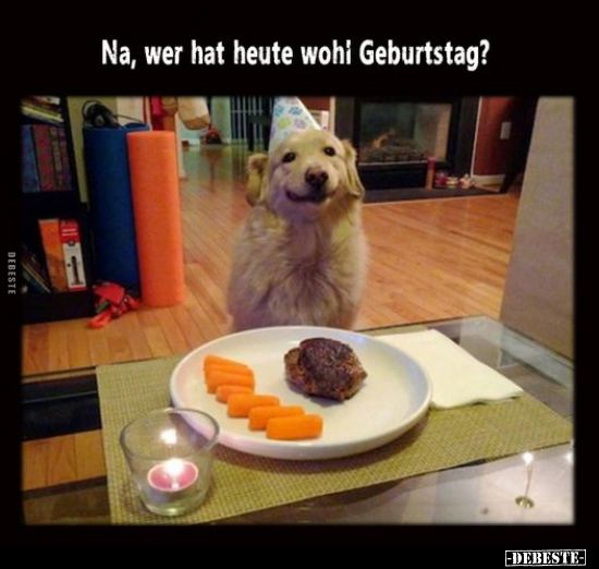 Na, wer hat heute wohl Geburtstag?.. - Lustige Bilder | DEBESTE.de