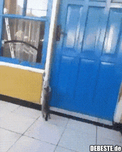 Katze öffnet die Türe.. - Lustige Bilder | DEBESTE.de