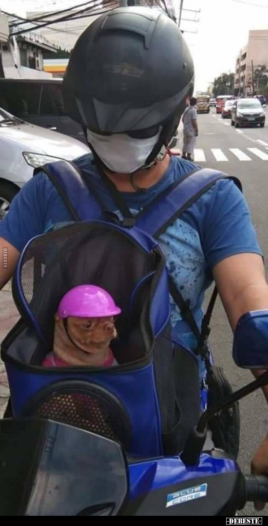  - Lustige Bilder | DEBESTE.de