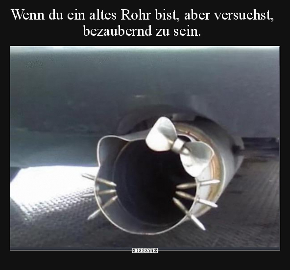 Wenn du ein altes Rohr bist, aber versuchst, bezaubernd zu.. - Lustige Bilder | DEBESTE.de