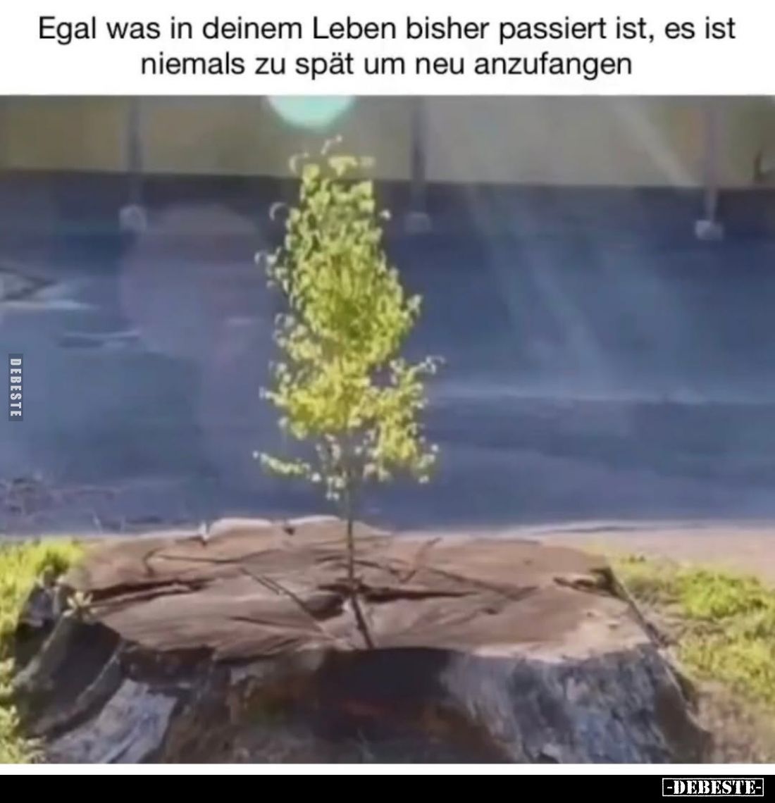 Egal was in deinem Leben bisher passiert ist, es ist niemals zu spät um neu anzufangen