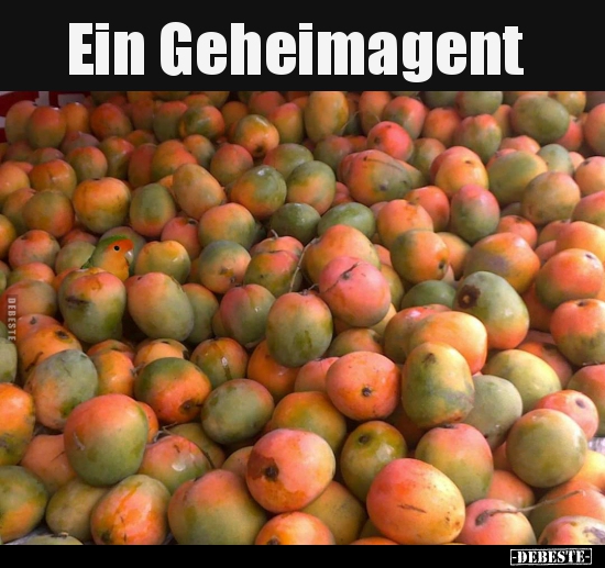 Ein Geheimagent..