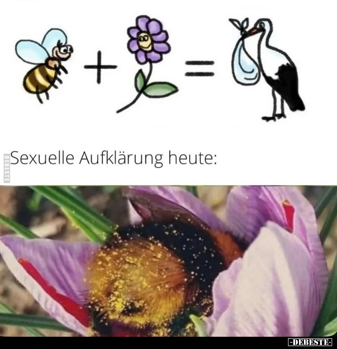Sexuelle Aufklärung heute: