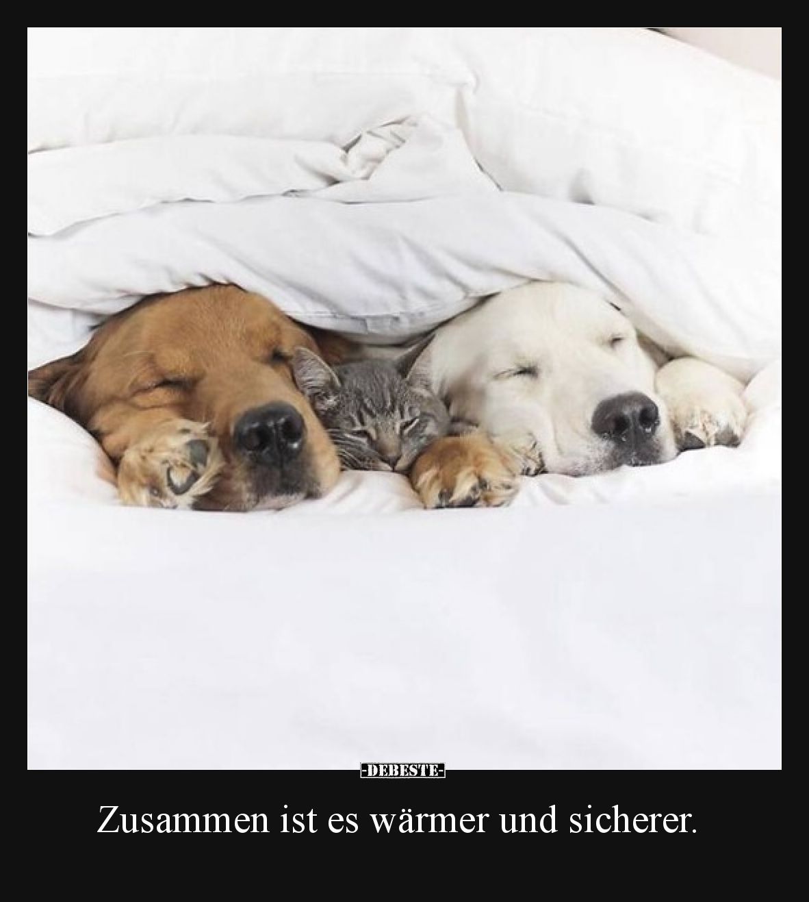 Zusammen ist es wärmer und sicherer.