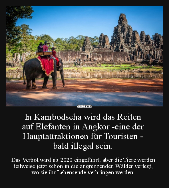 In Kambodscha wird das Reiten auf Elefanten in Angkor.. - Lustige Bilder | DEBESTE.de