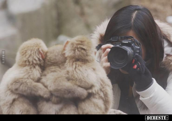  - Lustige Bilder | DEBESTE.de