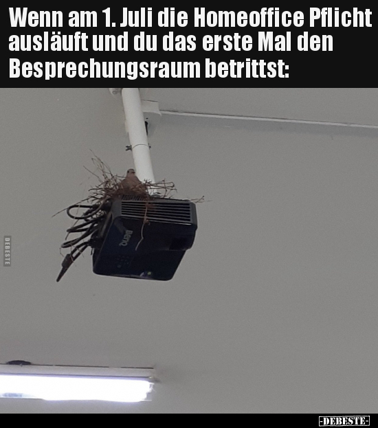 Wenn am 1. Juli die Homeoffice Pflicht ausläuft und du das.. - Lustige Bilder | DEBESTE.de