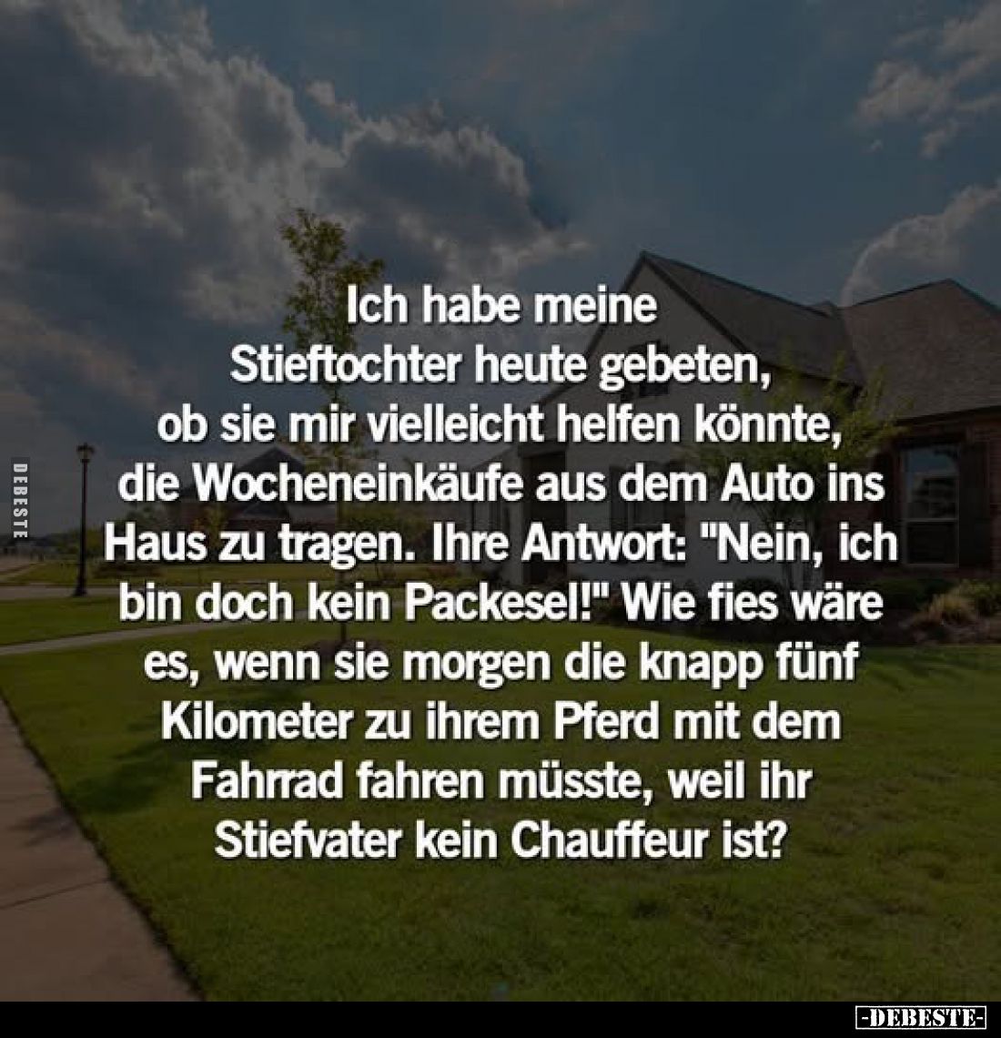 Ich habe meine Stieftochter heute gebeten, ob sie mir vielleicht helfen könnte, die Wocheneinkäufe aus dem Auto ins Haus zu t...