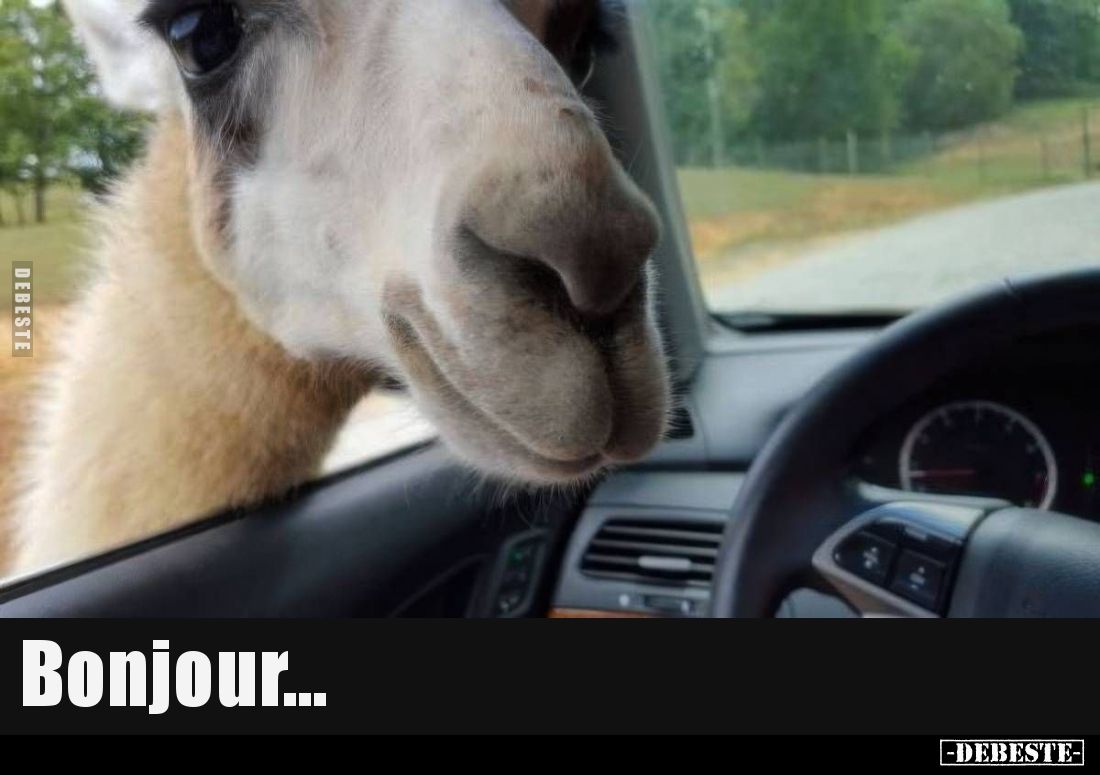 Bonjour...