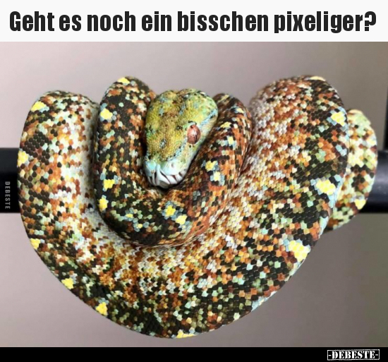 Geht es noch ein bisschen pixeliger?.. - Lustige Bilder | DEBESTE.de