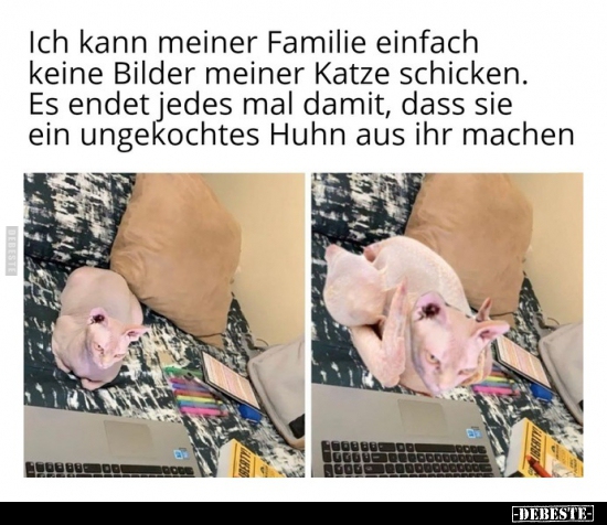 Ich kann meiner Familie einfach keine Bilder meiner Katze..