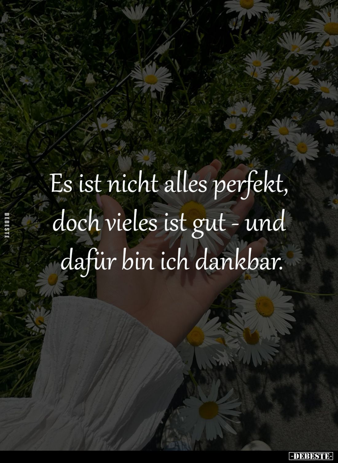 Es ist nicht alles perfekt, 
doch vieles ist gut - und 
dafür bin ich dankbar.