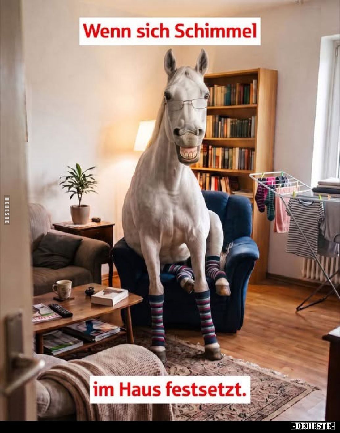 Wenn sich Schimmel
im Haus festsetzt.