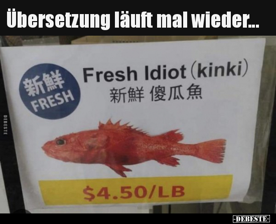 Übersetzung läuft mal wieder...