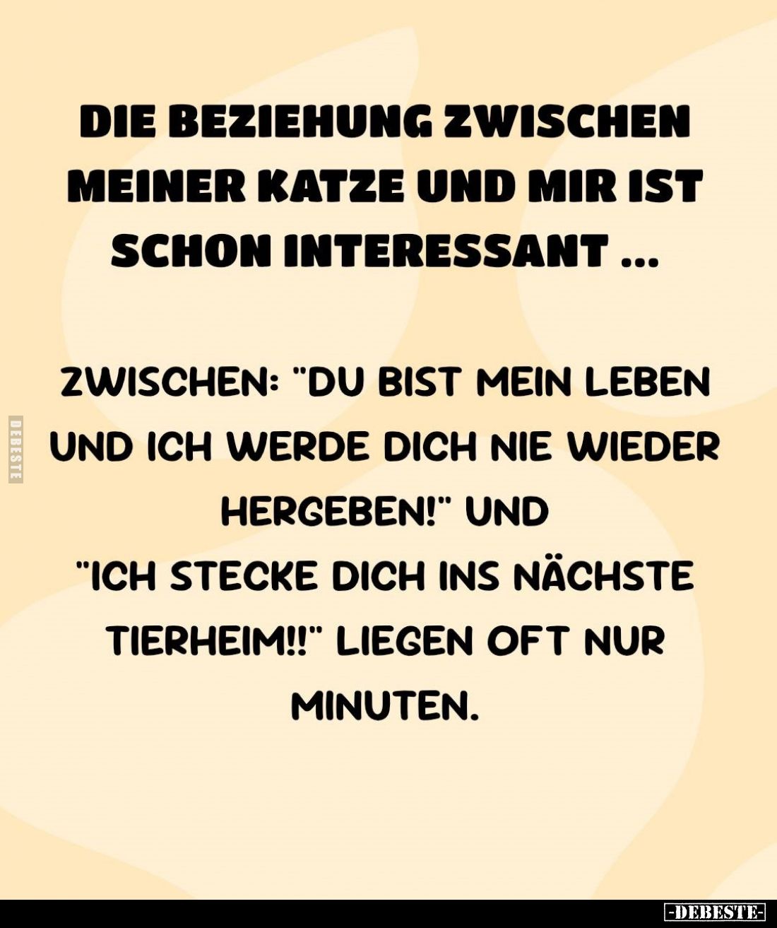 Die Beziehung zwischen meiner Katze und mir ist schon interessant...
Zwischen: „Du bist mein Leben und ich werde dich nie ...