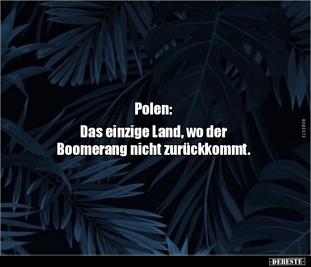 Polen: Das einzige Land, wo der Boomerang nicht.. - Lustige Bilder | DEBESTE.de