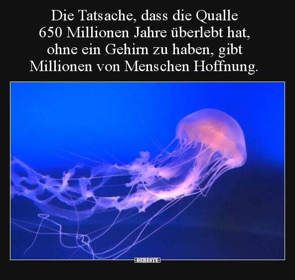 Die Tatsache, dass die Qualle 650 Millionen Jahre überlebt.. - Lustige Bilder | DEBESTE.de