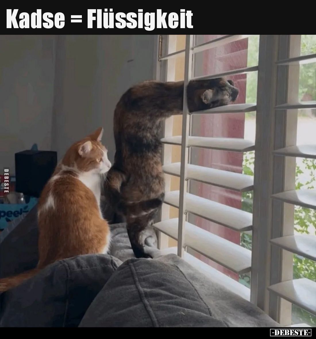 Kadse = Flüssigkeit..