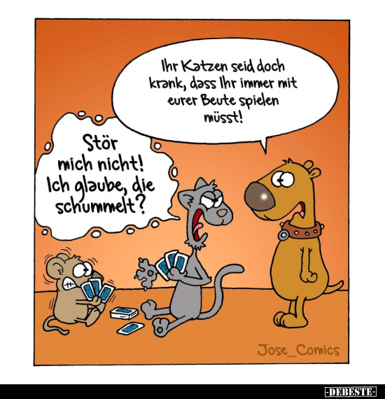 Ihr Katzen seit doch krank.. - Lustige Bilder | DEBESTE.de