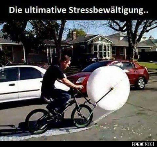 Die ultimative Stressbewältigung.. - Lustige Bilder | DEBESTE.de