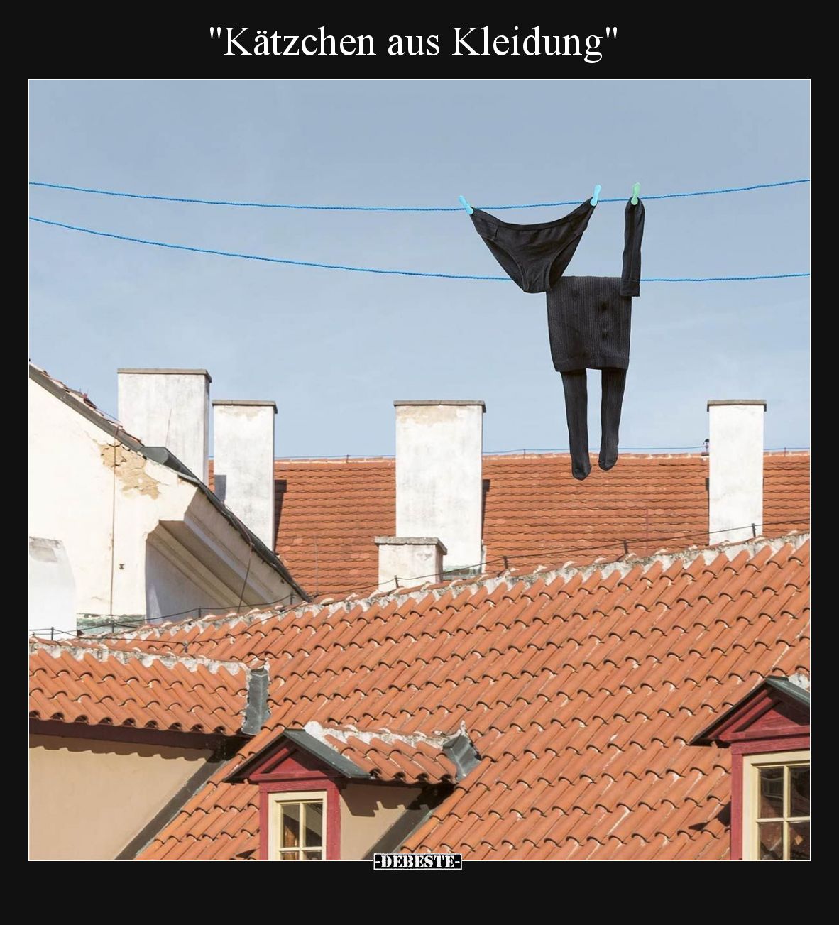 Kätzchen aus Kleidung