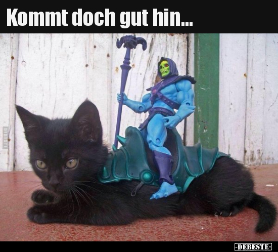 Kommt doch gut hin...