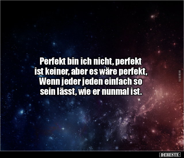 Perfekt bin ich nicht, perfekt ist keiner, aber es wäre.. - Lustige Bilder | DEBESTE.de