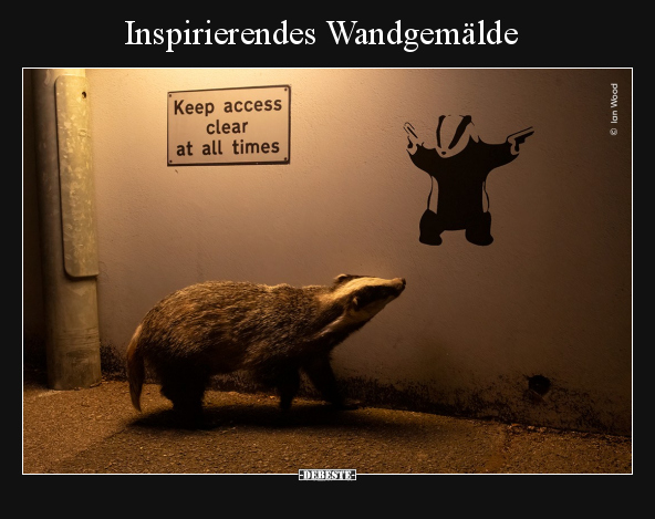 Inspirierendes Wandgemälde.. - Lustige Bilder | DEBESTE.de