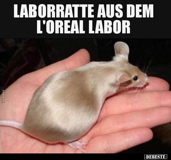 LABORRATTE AUS DEM L'OREAL LABOR.. - Lustige Bilder | DEBESTE.de