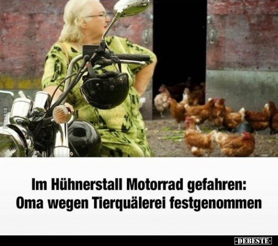 Im Hühnerstall Motorrad gefahren: Oma wegen Tierquälerei.. - Lustige Bilder | DEBESTE.de