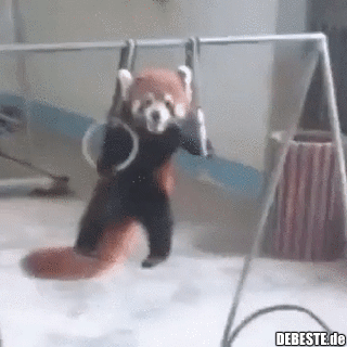 Wenn man dieses Jahr doch noch in den Urlaub fahren darf..