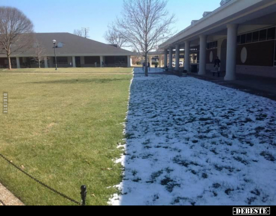  - Lustige Bilder | DEBESTE.de