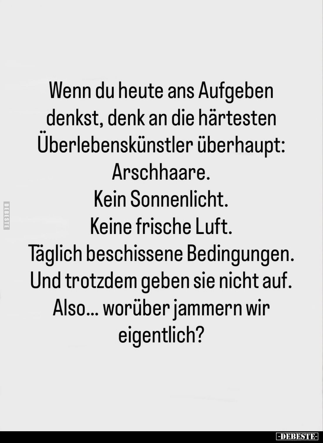 Wenn du heute ans Aufgeben denkst, denk an die härtesten Überlebenskünstler überhaupt:
Arschhaare.
Kein Sonnenlicht.
Keine...
