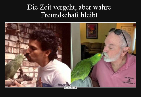 Die Zeit vergeht, aber wahre Freundschaft bleibt.. - Lustige Bilder | DEBESTE.de