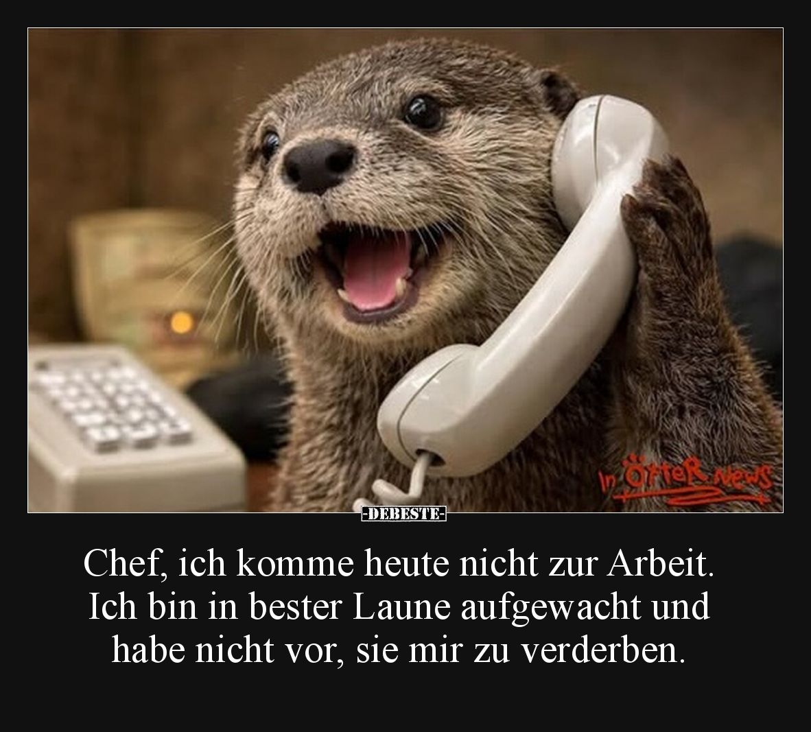 Chef, ich komme heute nicht zur Arbeit. Ich bin in bester.. - Lustige Bilder | DEBESTE.de