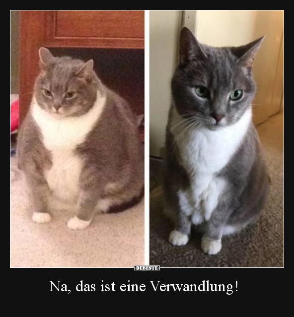 Na, das ist eine Verwandlung!.. - Lustige Bilder | DEBESTE.de
