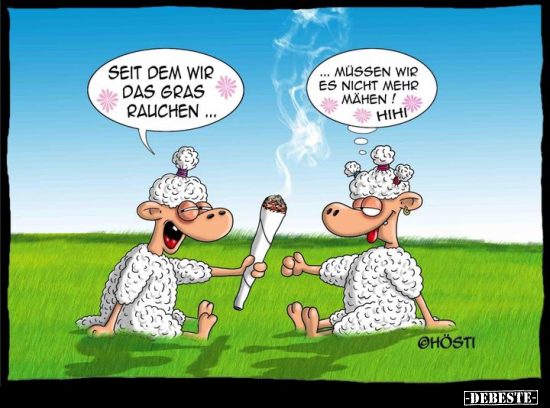 Seit dem wir das Gras rauchen... - Lustige Bilder | DEBESTE.de