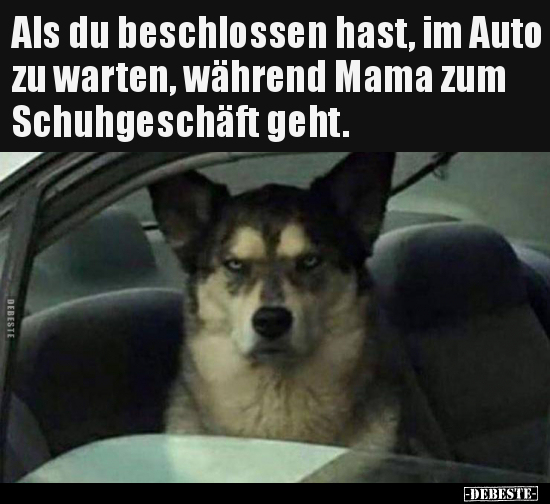 Als du beschlossen hast, im Auto zu warten, während Mama.. - Lustige Bilder | DEBESTE.de