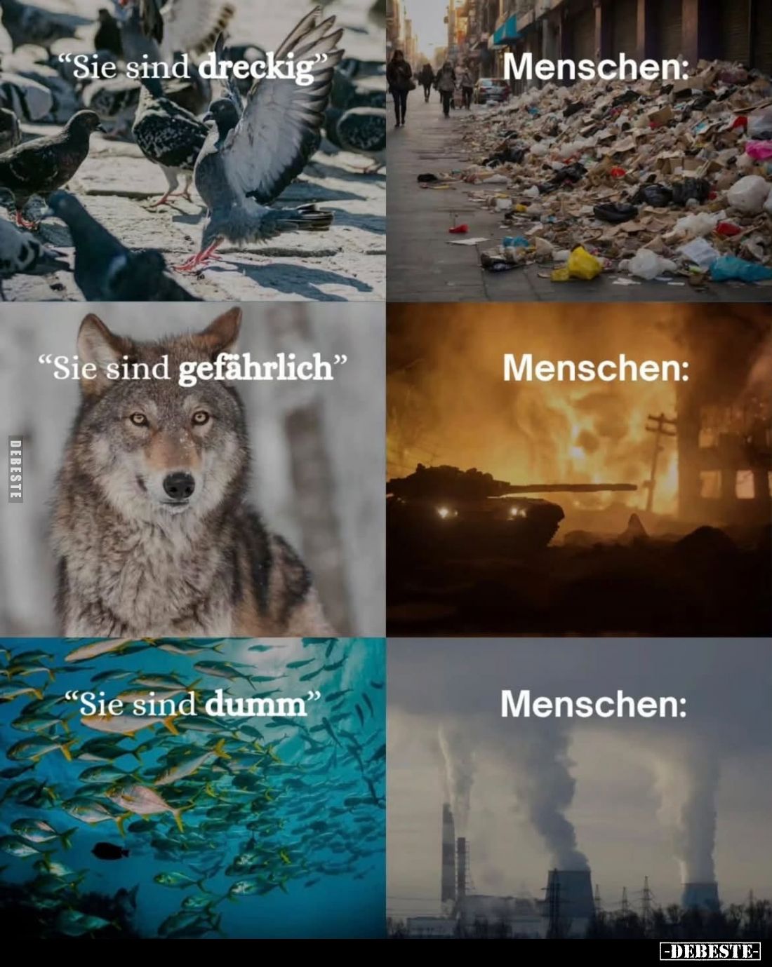 "Sie sind dreckig.".. - Lustige Bilder | DEBESTE.de