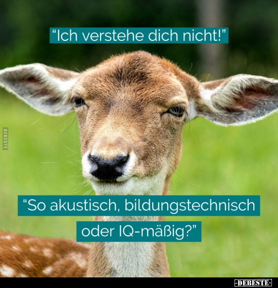 "Ich verstehe dich nicht!".. - Lustige Bilder | DEBESTE.de